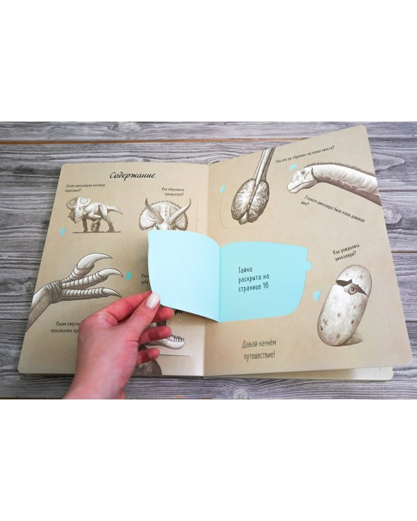 В мире динозавров. Книжка с окошками