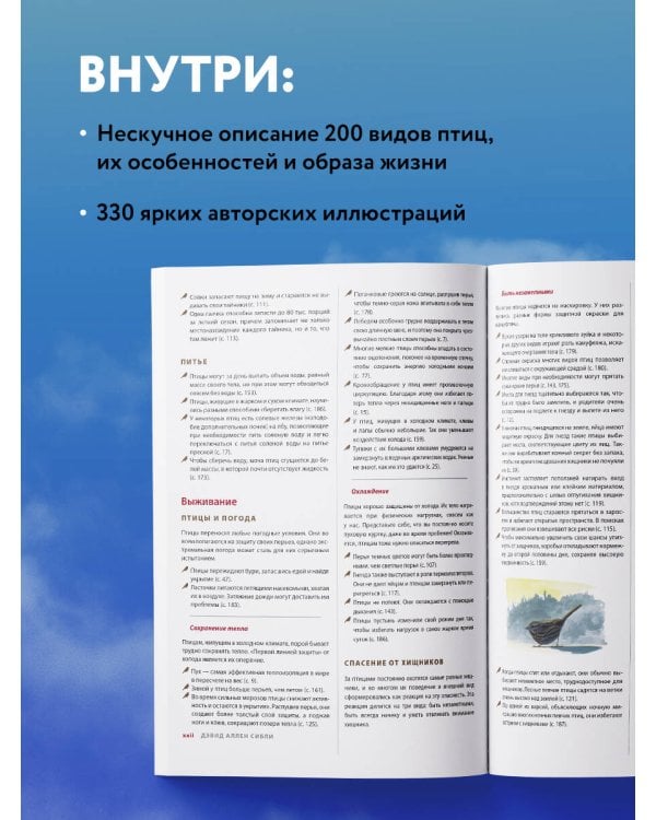 Каково быть птицей. О полетах и гнездовании, кормлении и пении. Как и чем живут самые известные птиц