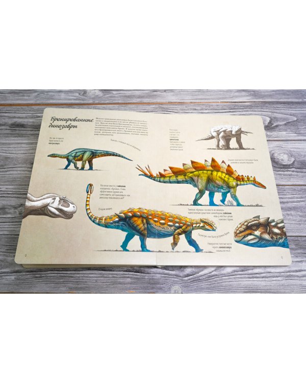 В мире динозавров. Книжка с окошками