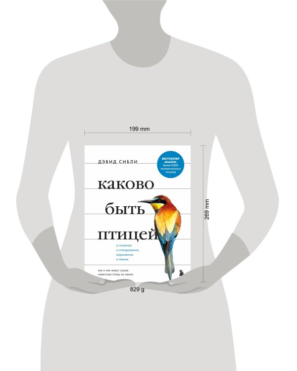 Каково быть птицей. О полетах и гнездовании, кормлении и пении. Как и чем живут самые известные птиц