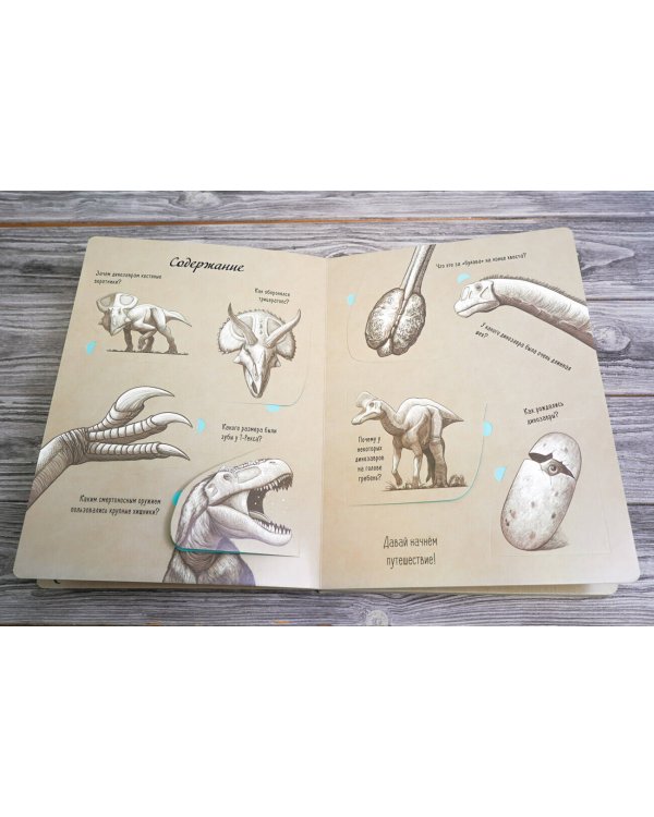 В мире динозавров. Книжка с окошками