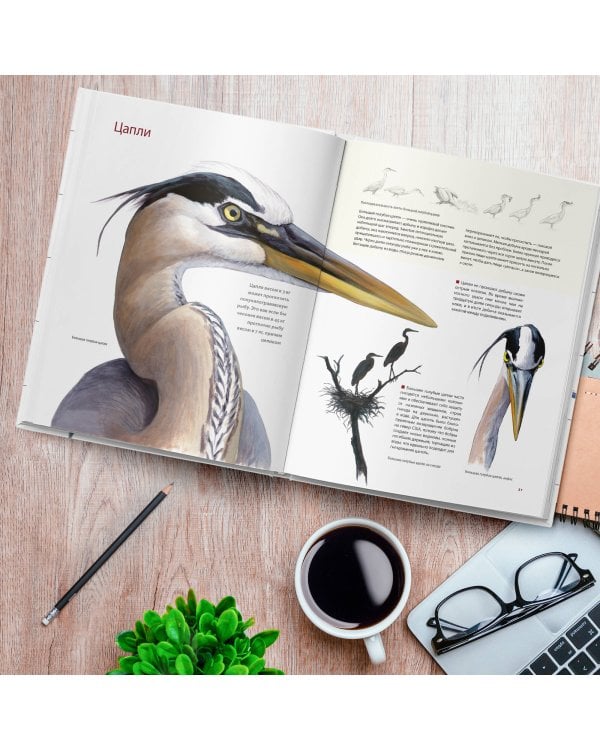 Каково быть птицей. О полетах и гнездовании, кормлении и пении. Как и чем живут самые известные птиц