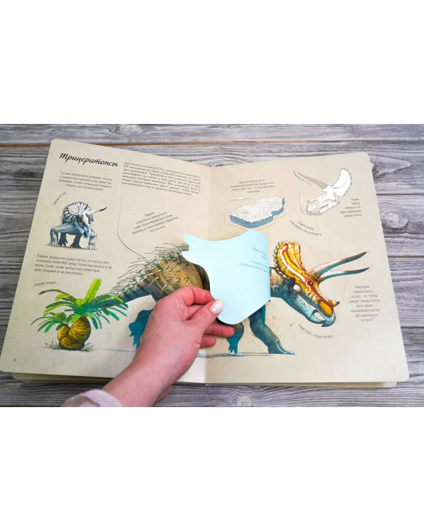 В мире динозавров. Книжка с окошками