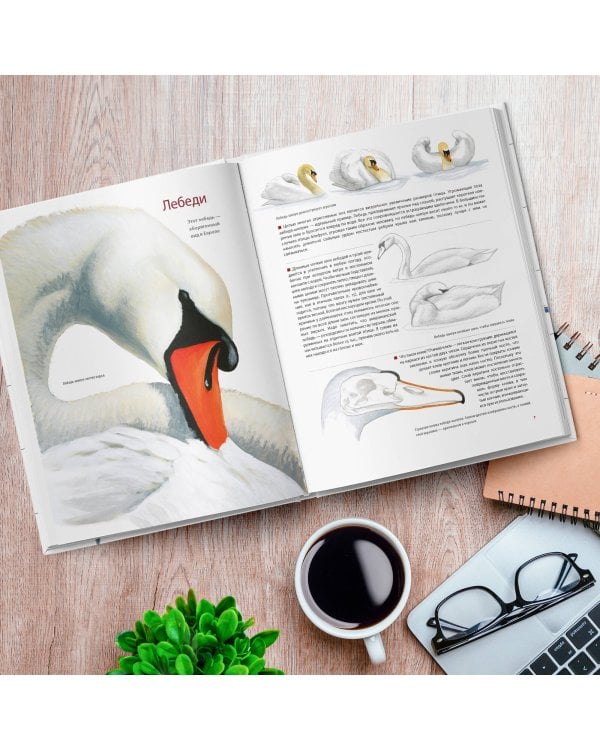 Каково быть птицей. О полетах и гнездовании, кормлении и пении. Как и чем живут самые известные птиц