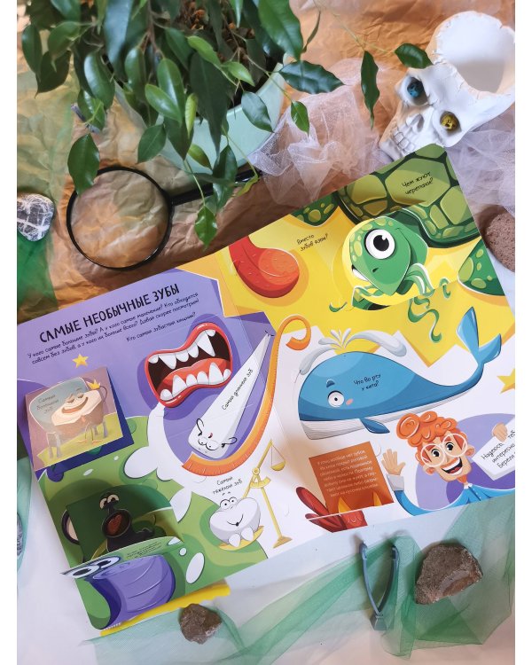 Всё о зубах. Открывай и изучай!