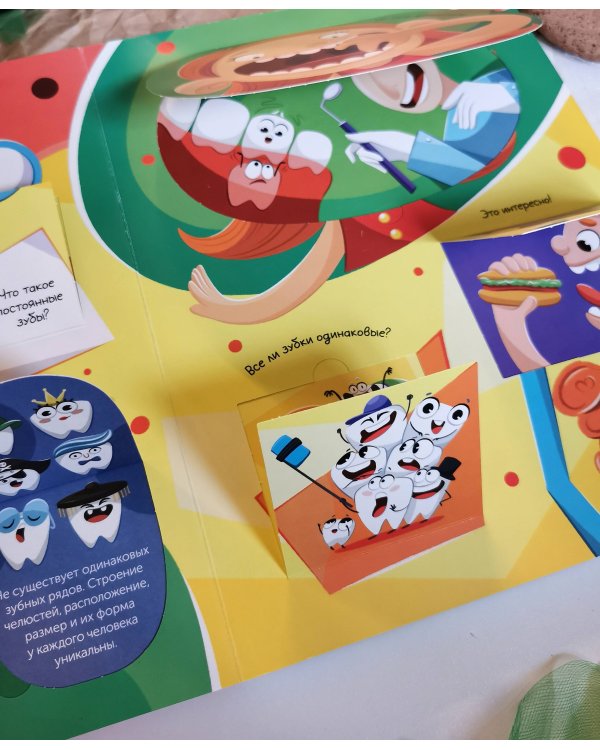 Всё о зубах. Открывай и изучай!