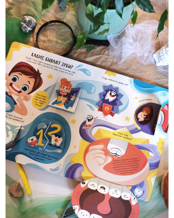 Всё о зубах. Открывай и изучай!