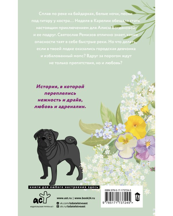 Любовь в Сочи, мопс и белые ночи