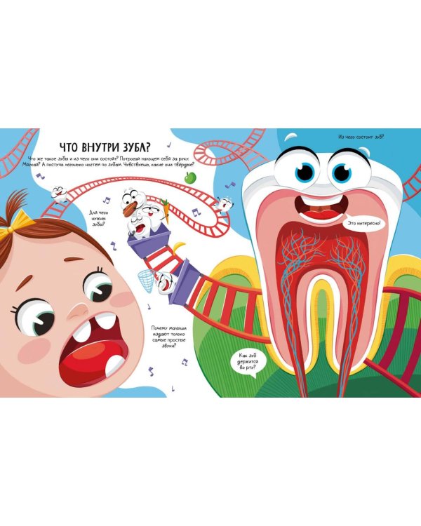 Всё о зубах. Открывай и изучай!
