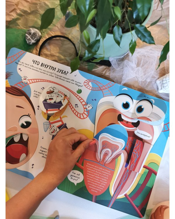 Всё о зубах. Открывай и изучай!