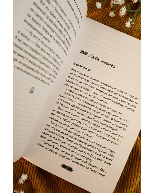 Любовь в Сочи, мопс и белые ночи