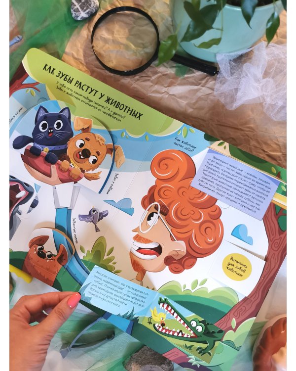 Всё о зубах. Открывай и изучай!