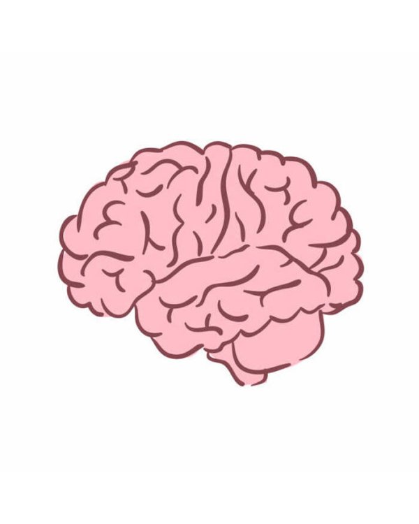 Познакомьтесь с собой. Как гены, микробы и нейроны делают нас теми, кто мы есть