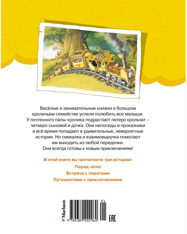 Встреча с пиратами