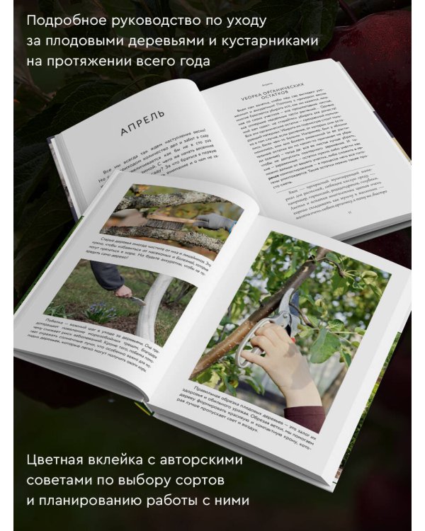 Энциклопедия садовода. Плодовые деревья и кустарники