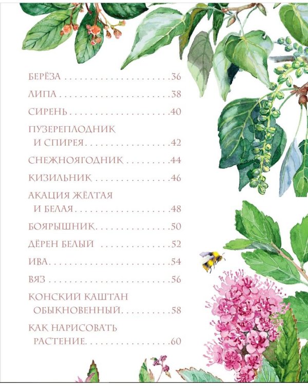 Растения в городе