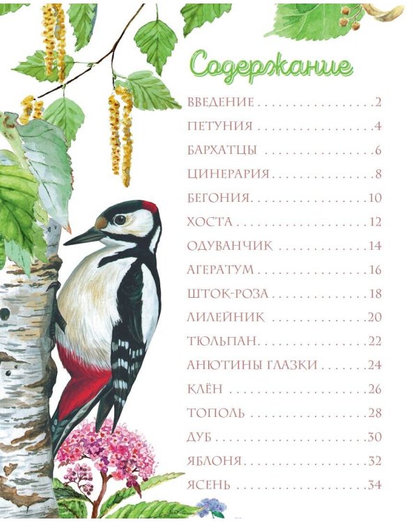 Растения в городе