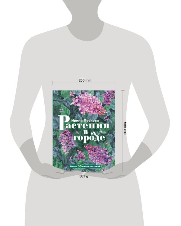 Растения в городе