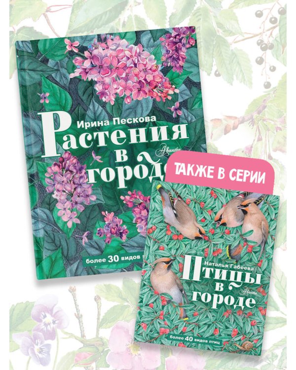 Растения в городе