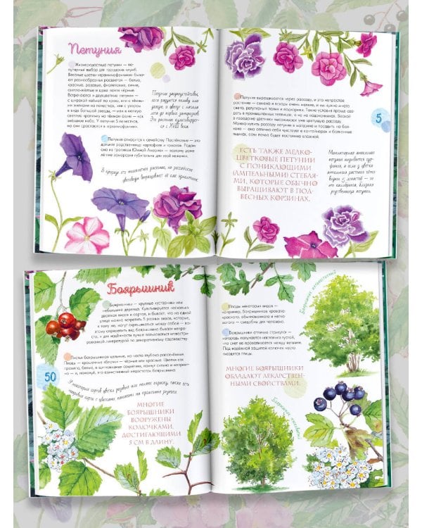 Растения в городе