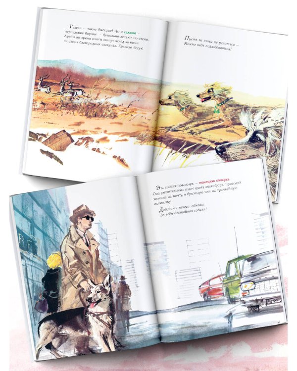 Удивительные собачьи истории