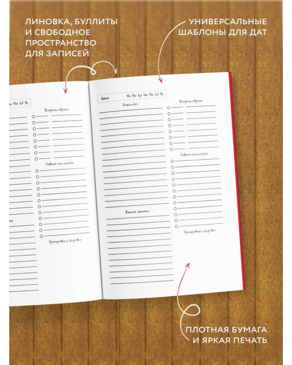 Синие коты. Творческая личность. Ежедневник недатированный (А5, 72 л.)