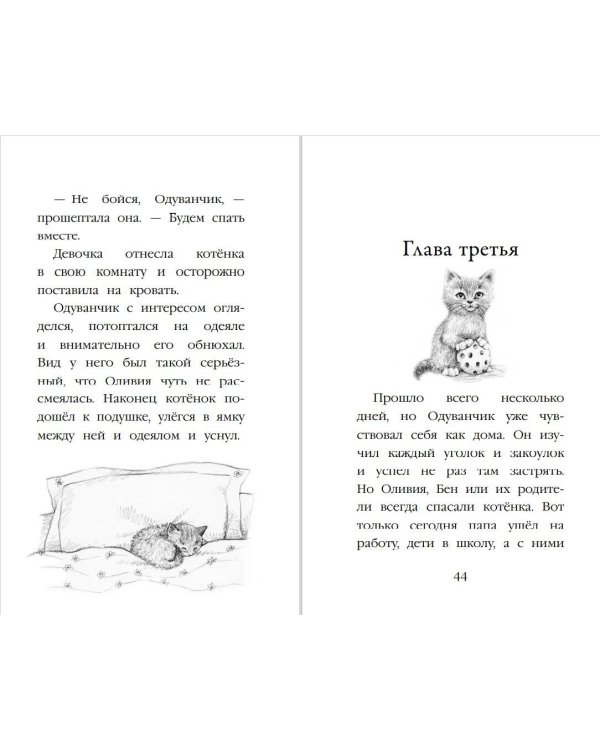 Котенок Одуванчик, или Игра в прятки