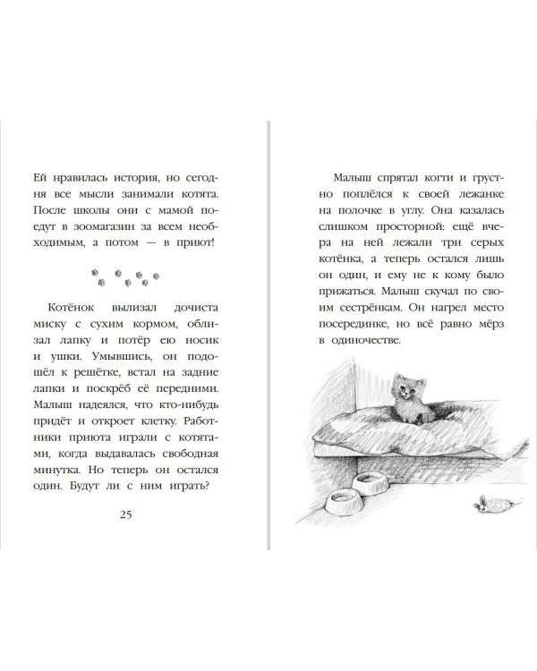 Котенок Одуванчик, или Игра в прятки