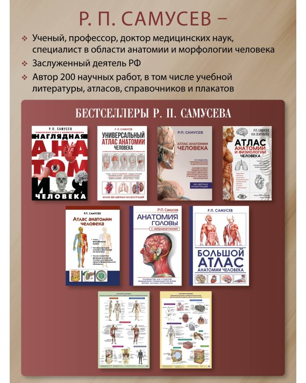 Анатомия человека. Костная система (в тубусе)