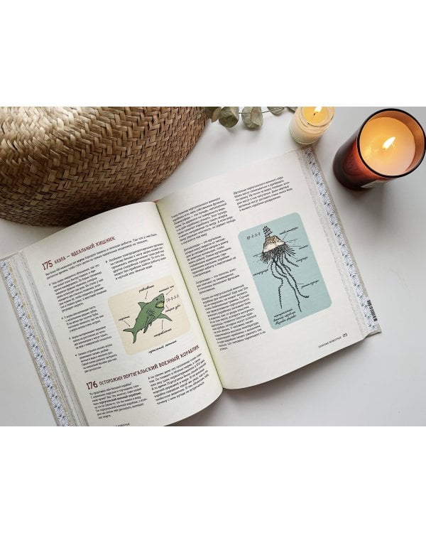 Может ли лошадь решать уравнения? И ещё 320 вопросов о животных