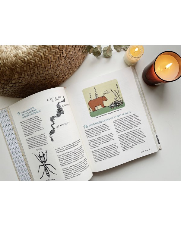 Может ли лошадь решать уравнения? И ещё 320 вопросов о животных