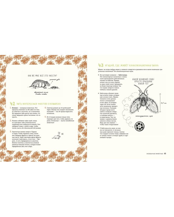 Может ли лошадь решать уравнения? И ещё 320 вопросов о животных