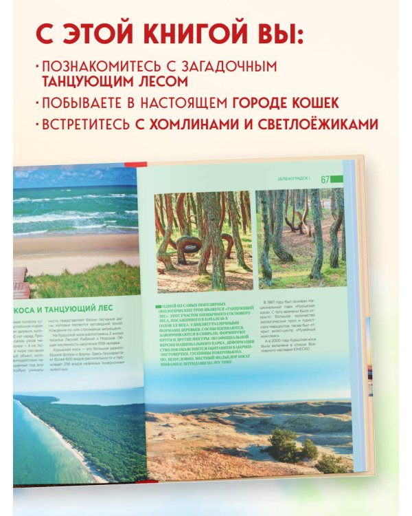 Чарующий Калининград. Самые красивые места края янтаря, которые обязательно нужно посетить