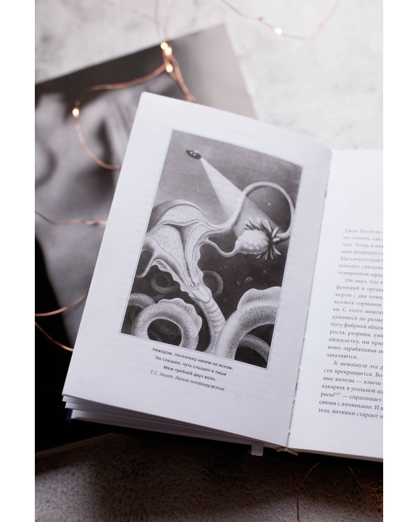 VAGINA OBSCURA. Анатомическое путешествие по женскому телу