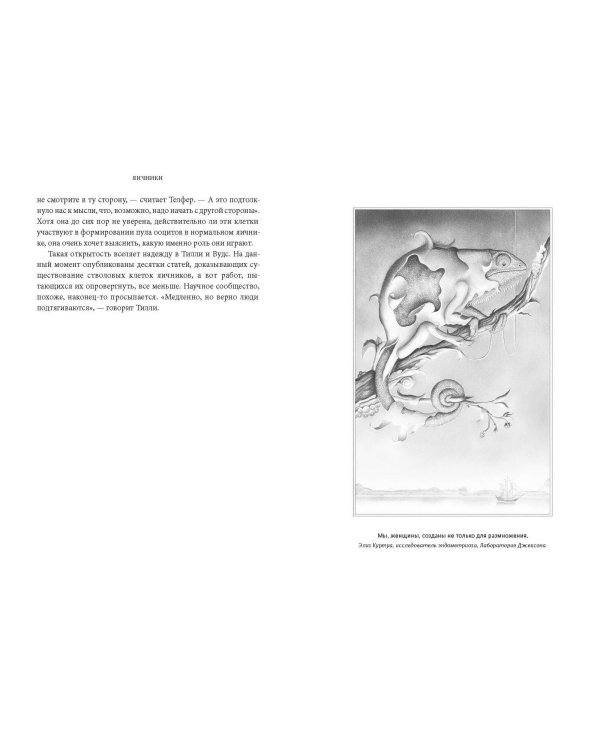 VAGINA OBSCURA. Анатомическое путешествие по женскому телу