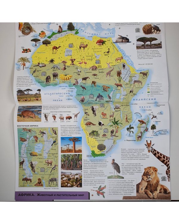 Атлас мира. 12 карт для нового поколения