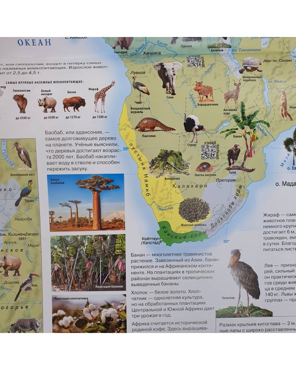 Атлас мира. 12 карт для нового поколения