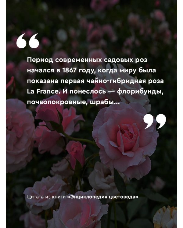 Энциклопедия цветовода