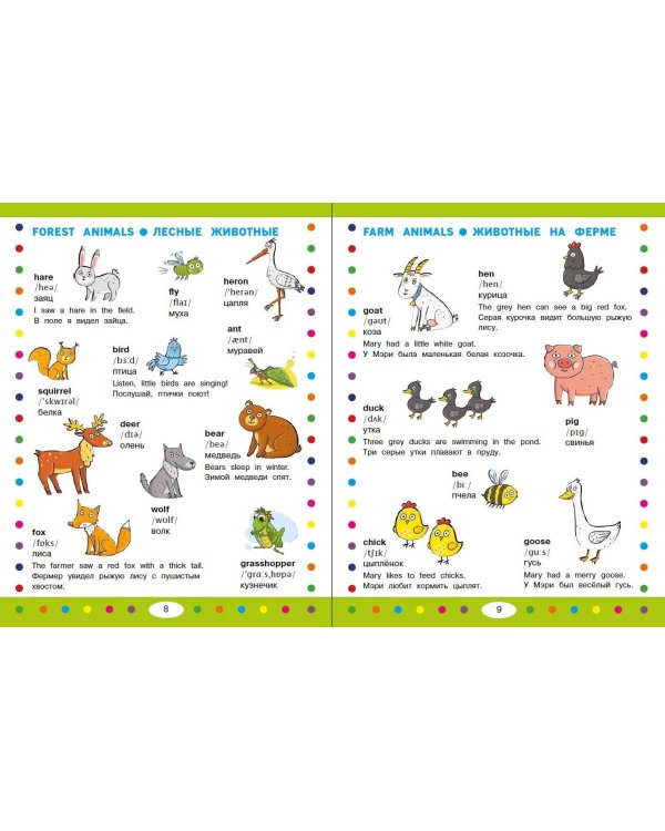 Тематический визуальный англо-русский словарь