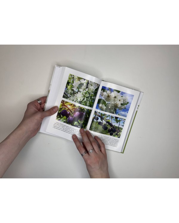 Энциклопедия садовой обрезки