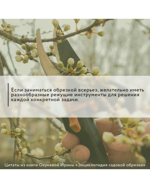 Энциклопедия садовой обрезки