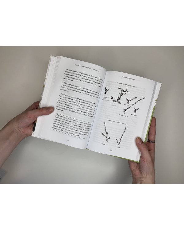 Энциклопедия садовой обрезки