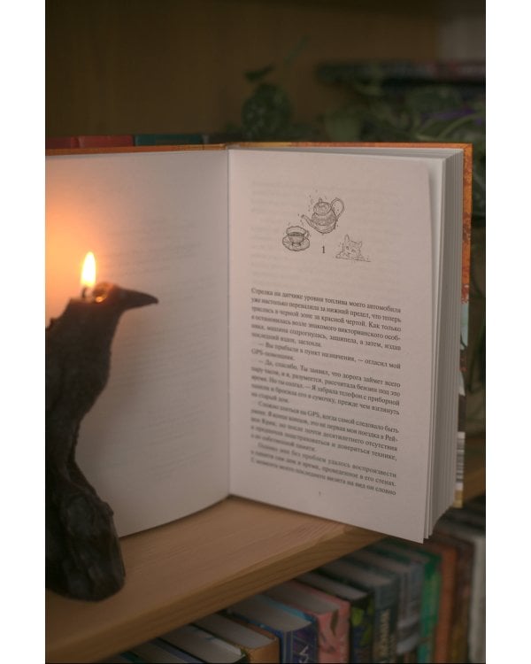 Книжный магазинчик ведьмы. Убийства и чаепития