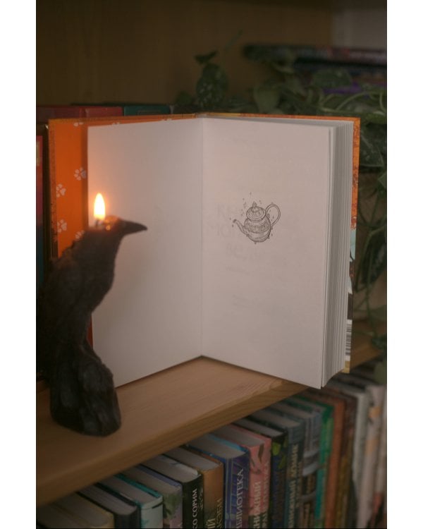 Книжный магазинчик ведьмы. Убийства и чаепития