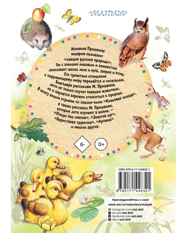 Кладовая солнца. Рассказы