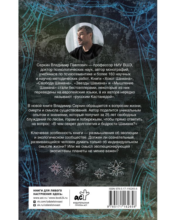 Смысл Шамана