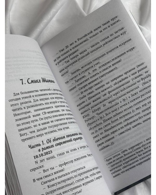 Смысл Шамана