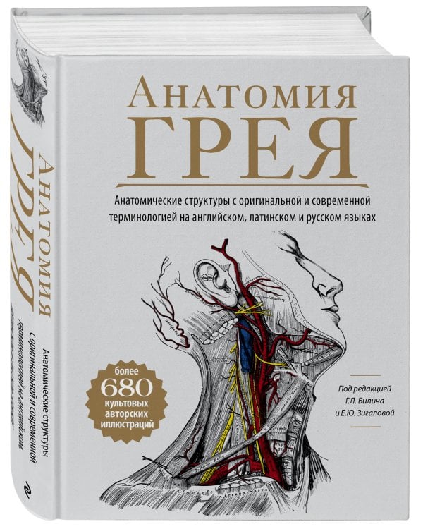 Анатомия Грея. Анатомические структуры с оригинальной и современной терминологией на английском, латинском и русском языках