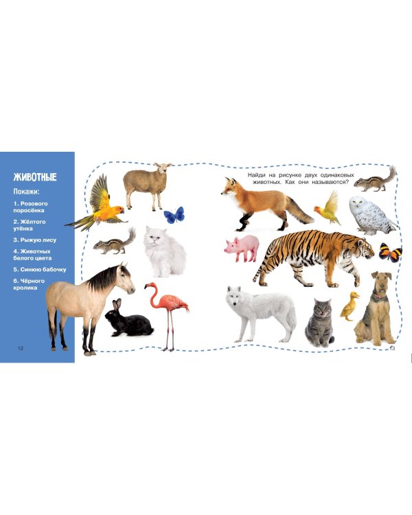 Формы и цвета. Фотокнига