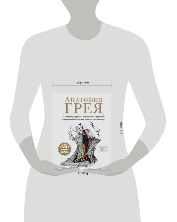 Анатомия Грея. Анатомические структуры с оригинальной и современной терминологией на английском, латинском и русском языках